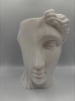 Face Siluet